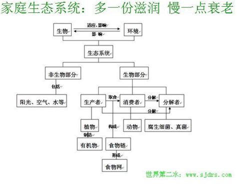 家庭生態圖是什麼